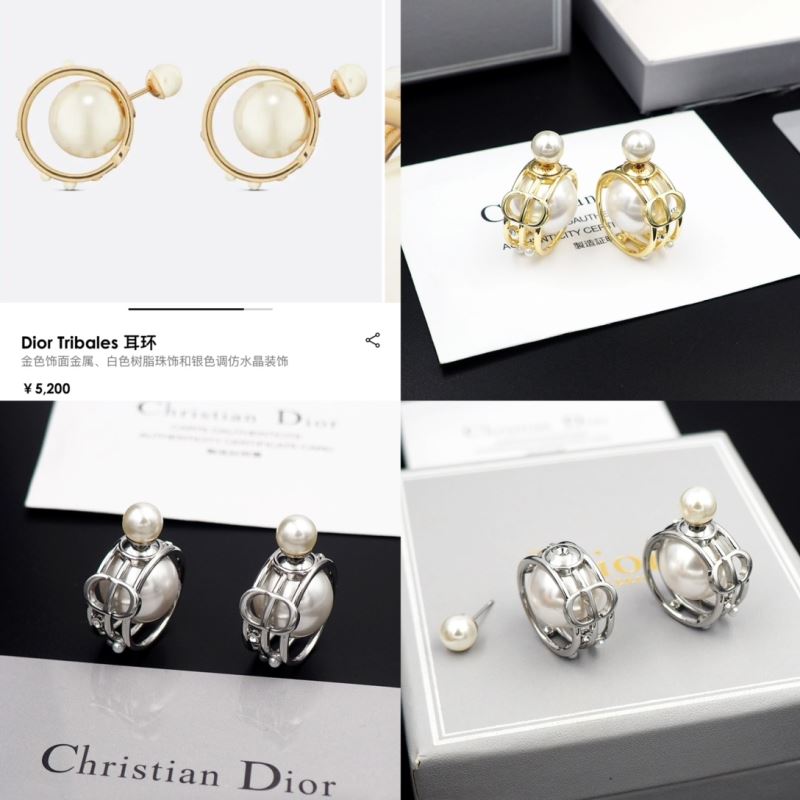 Christian Dior Earrings